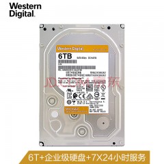 西部数据(Western Digital)金盘 6TB SATA6Gb/s 7200转256M 企业硬盘(WD6003VRYZ)